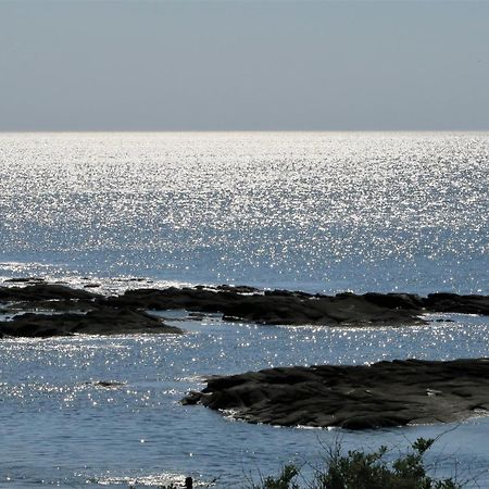 Vitamin Sea ลาทัวบาลล์ ภายนอก รูปภาพ
